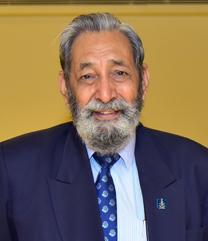 Col Kr Pratap Singh Yadav